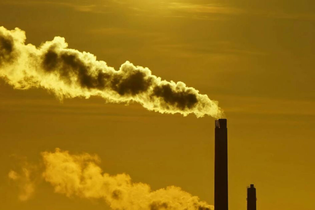 smokers featured image