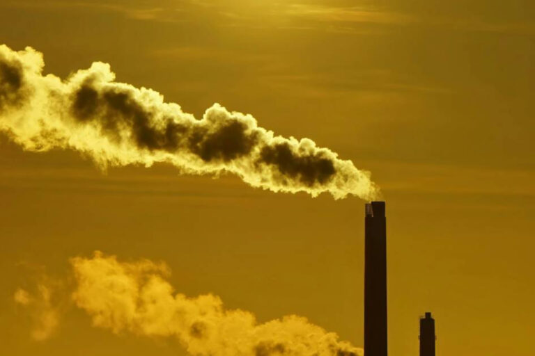 smokers featured image