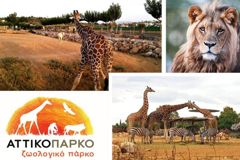 Αττικό Ζωολογικό Πάρκο